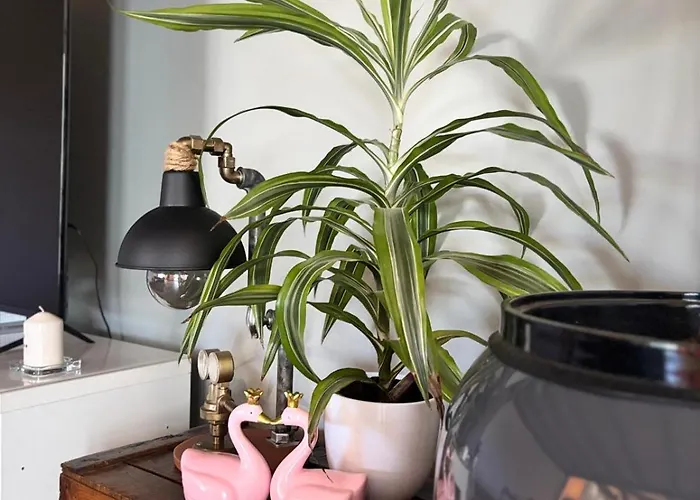 Maison Chaleureuse Entre Terre Et Mer. *